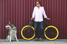 이미지를 갤러리 뷰어에 로드 , Yankee