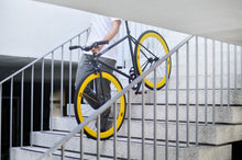 이미지를 갤러리 뷰어에 로드 , Yankee