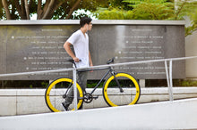 이미지를 갤러리 뷰어에 로드 , Yankee