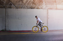 이미지를 갤러리 뷰어에 로드 , Yankee