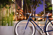 Carica l'immagine nel visualizzatore di Gallery, November